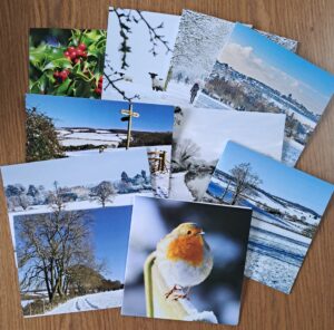 assorted scenic Christmas cards