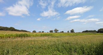 lush green fields, crops, and trees under a sunny blue sky with puffy white clouds