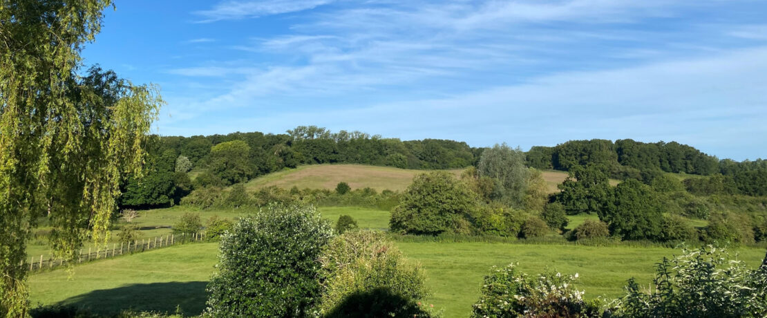 beautiful unspoiled green landscape with fields, hedgerows and woodland