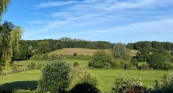 beautiful unspoiled green landscape with fields, hedgerows and woodland