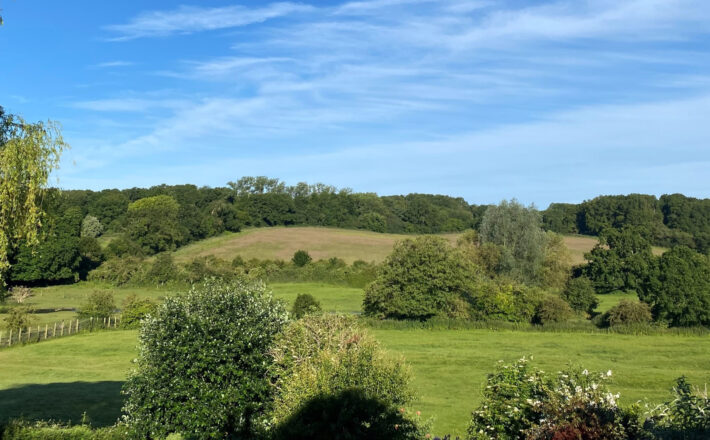 beautiful unspoiled green landscape with fields, hedgerows and woodland