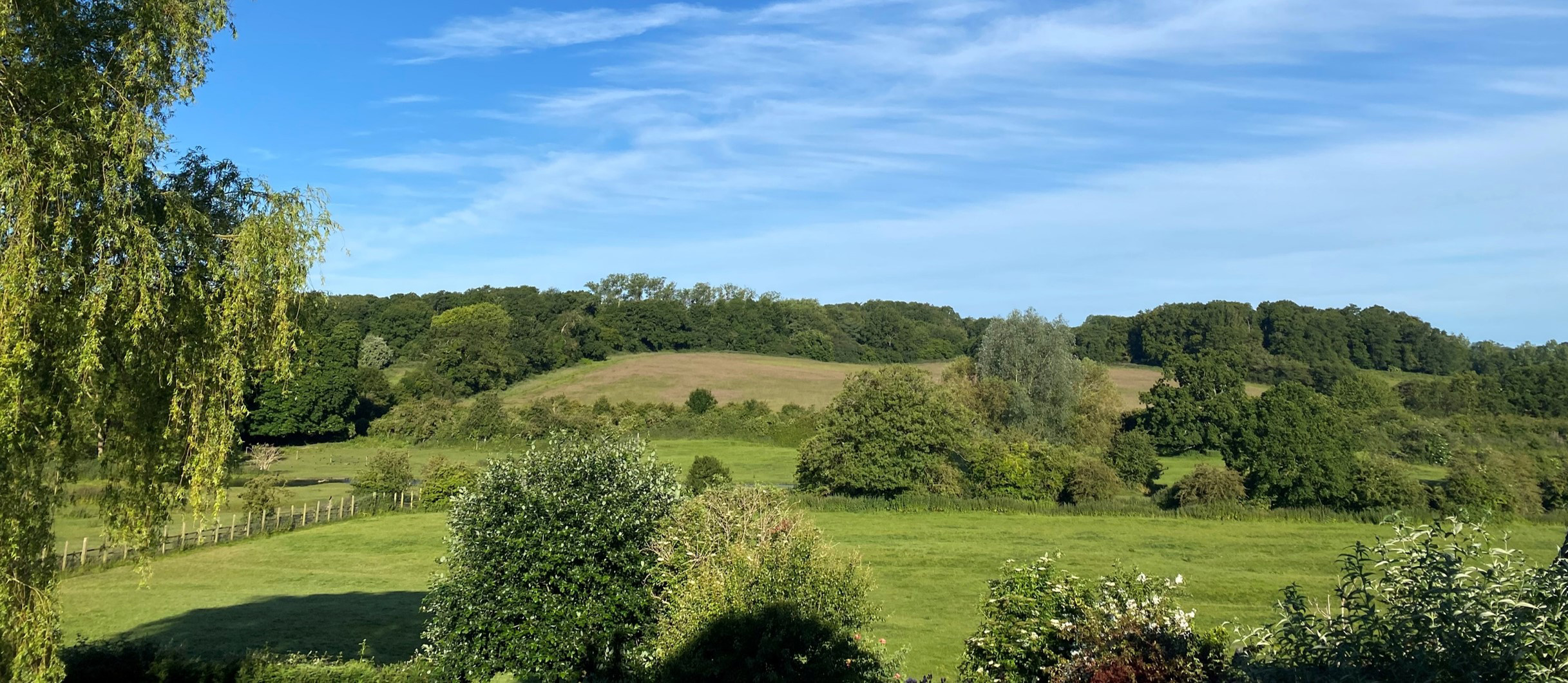 beautiful unspoiled green landscape with fields, hedgerows and woodland